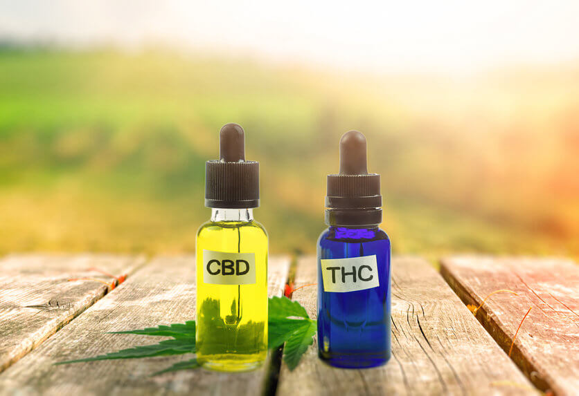 CBD VS THC